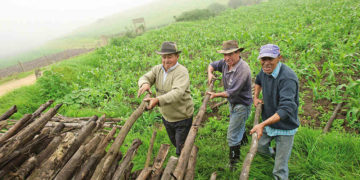 Sector agropecuario enfrenta una severa crisis: Dip. Vianey Montes C.