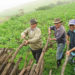 Sector agropecuario enfrenta una severa crisis: Dip. Vianey Montes C.