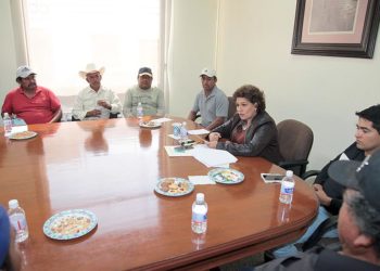 Ladrilleros denuncian hostigamiento de autoridades