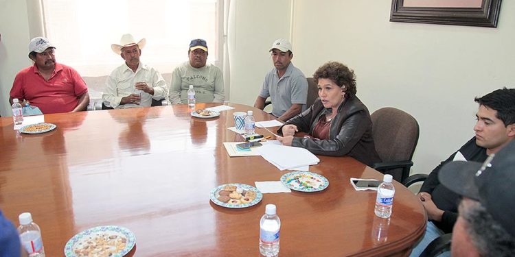 Ladrilleros denuncian hostigamiento de autoridades