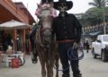 Segundo Encuentro Ancestral K’AI’LEM en San Antonio