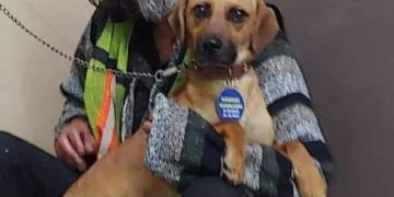 Hombre en situación de calle llora la muerte de su perro