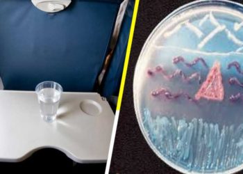 ¡El agua de los aviones es tan sucia como la del retrete!