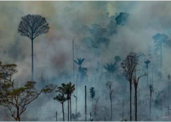 Científicos alertan a la población por “emergencia climática”