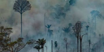 Científicos alertan a la población por “emergencia climática”