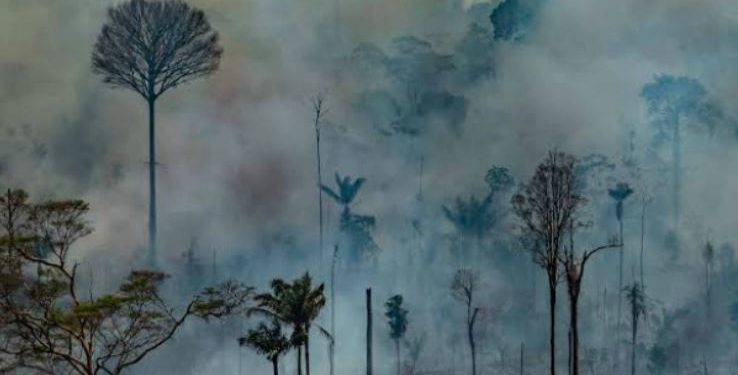 Científicos alertan a la población por “emergencia climática”