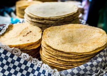 Kilo de tortilla podría valer hasta 60 pesos