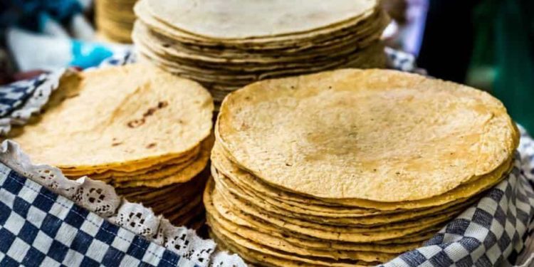 Kilo de tortilla podría valer hasta 60 pesos
