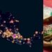 Geógrafo de la UNAM hace mapa de las taquerías en México
