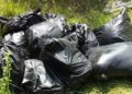 Jalisco: encuentran 12 cuerpos desmembrados en bolsas de plástico