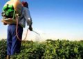 Gobierno establece medidas para eliminar uso de plaguicidas