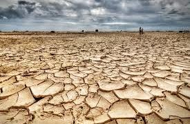 Algunos problemas que surgirán con cambio climático
