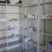 Sector salud debe informar desabasto de medicamentos: Dip. Martha Barajas