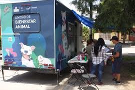 Bienestar animal al rescate de animales en situación de calle