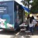 Bienestar animal al rescate de animales en situación de calle