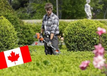 Canadá solicita jardineros mexicanos