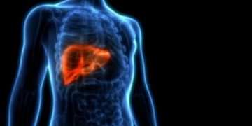 Cuida tu hígado con estos alimentos