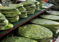 ¡El nopal será el alimento del futuro!