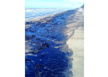 Tabasco: Playas de Paraíso cerradas por manchas de hidrocarburo