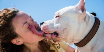 Hombre muere extraña infección a causa de lamidas de perro