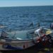 Semar rescata que 6 pescadores tras naufragio por tormenta