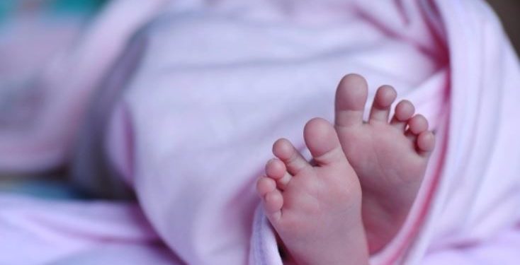 Anuncian venta de bebé recién nacido en Florida