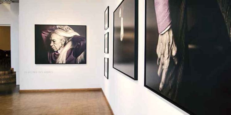 Libros desbordados, de la fotógrafa Lorena Velázquez
