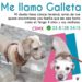El dueño de Galleta tiene cáncer terminal; le busca nuevo hogar