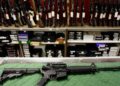 México y la UE acuerdan acciones para frenar el tráfico de armas