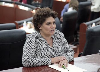 Inicia análisis de iniciativas de Leyes de Ingresos para el 2020: Dip. Laura Silva