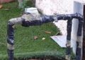 Bajas temperaturas pueden reventar tuberías y medidores: Interapas