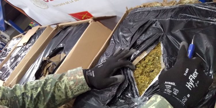 El Ejército Mexicano asegura 94 kilogramos de marihuana