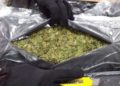 Aseguran 11 kilos de marihuana en Aeropuerto