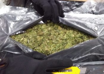 Aseguran 11 kilos de marihuana en Aeropuerto
