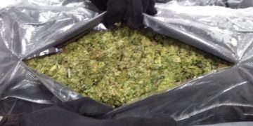 Aseguran 11 kilos de marihuana en Aeropuerto