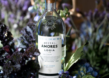 El mezcal de agaves silvestres