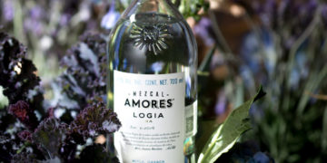 El mezcal de agaves silvestres