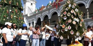 El árbol del dolor en Veracruz, en honor a sus familiares desaparecidos