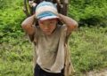 2020, “Año de la cultura para la erradicación del trabajo infantil”: Dip. Martha Barajas