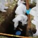 Hallazgo de fosa común en Colombia revive fantasma de ejecuciones extrajudiciales