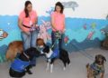 Ayuntamiento fomenta adopción de mascotas