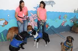 Ayuntamiento fomenta adopción de mascotas