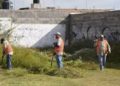 Respuesta Ciudadana se suma a programa de limpieza de baldíos