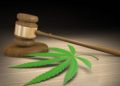 Senadores deben regular el uso lúdico de la marihuana en 2020