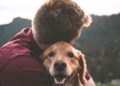 Te alegrará saber que tu perro puede entenderte más de lo que piensas
