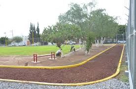 Ayuntamiento promueve el deporte junto instancias internacionales