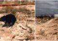 Encuentran a persona ejecutada en inmediaciones de El Aguaje