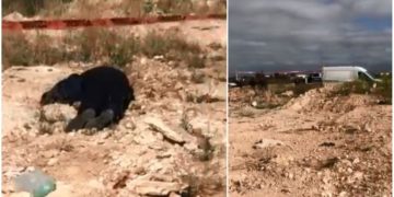 Encuentran a persona ejecutada en inmediaciones de El Aguaje
