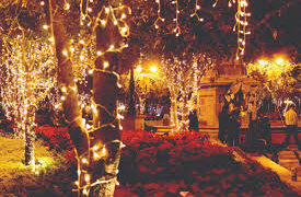 ¿Qué se celebra cada 24 de diciembre?