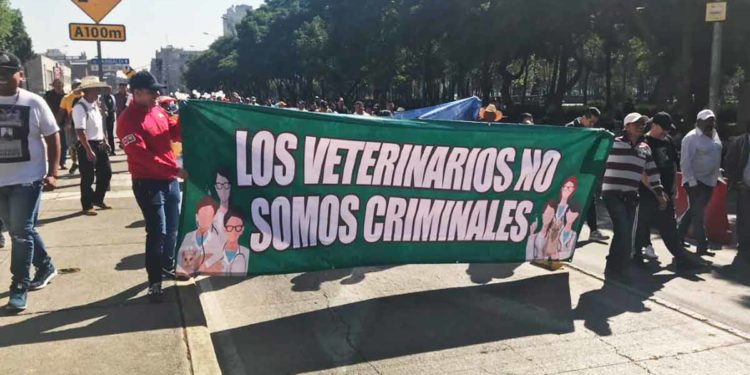 Veterinarios se manifiestan contra Ley Varela